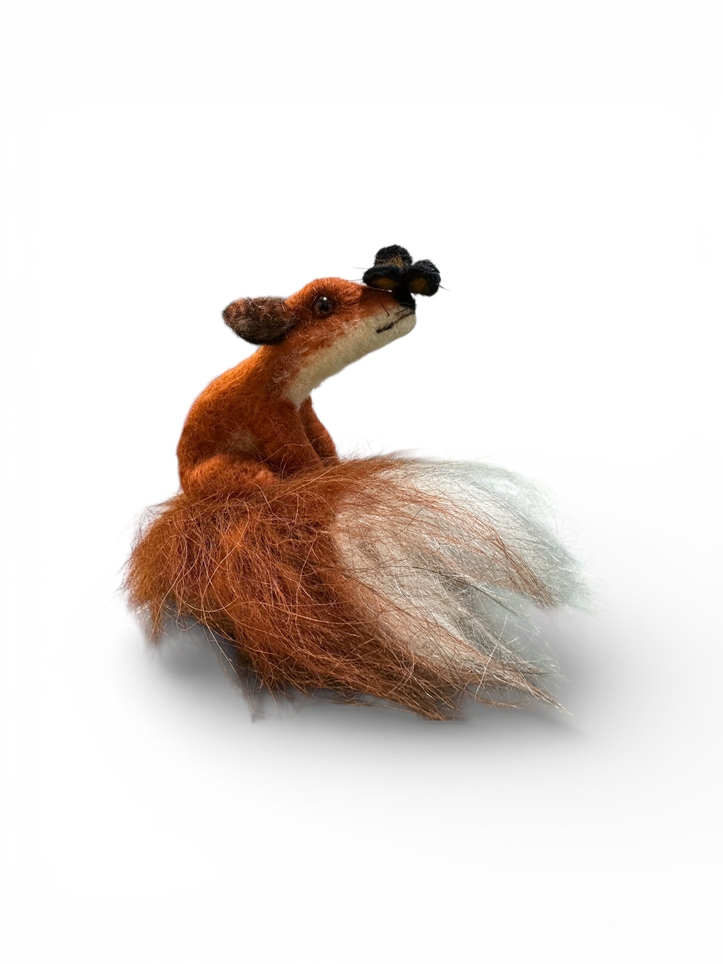 The Gentle Encounter